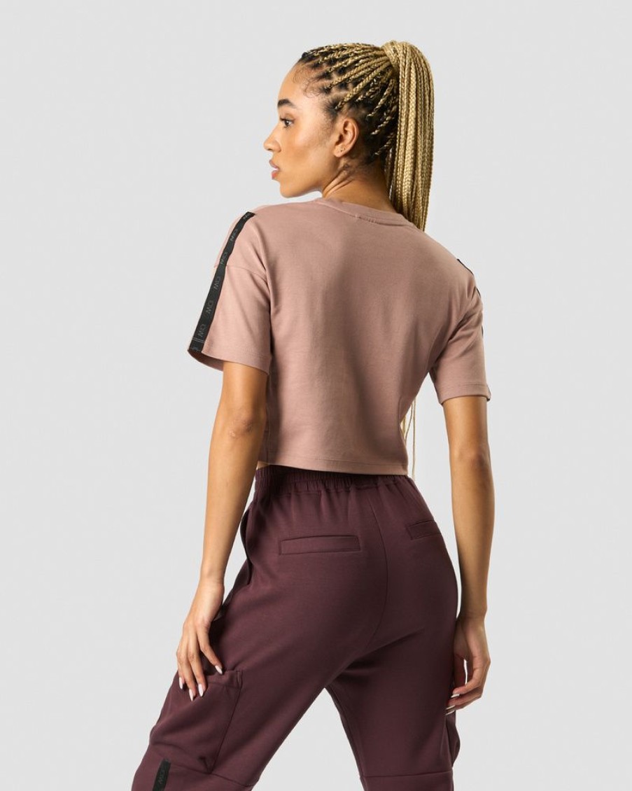 Damer ICIW T-Shirts | Stance Cropped T-Shirt Wmn Light Mauve